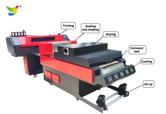 Stampa per indumenti Stampante DTF da 60 cm Macchina per polvere per agitazione Testina di stampa XP600/I3200