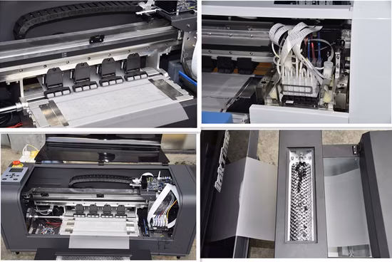 Stampante Inktime Doppia Testa XP600 Digitale 60 Cm Dtf con Agitatore per Polvere